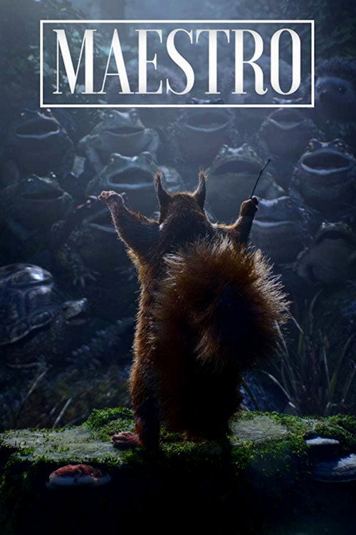 Maestro постер