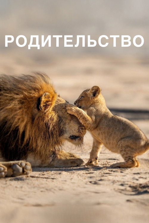 Родительство постер