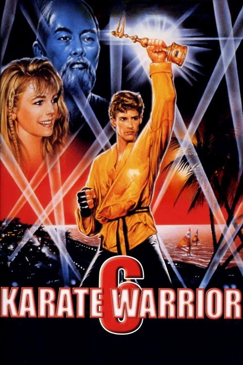 Karate Warrior 6 постер