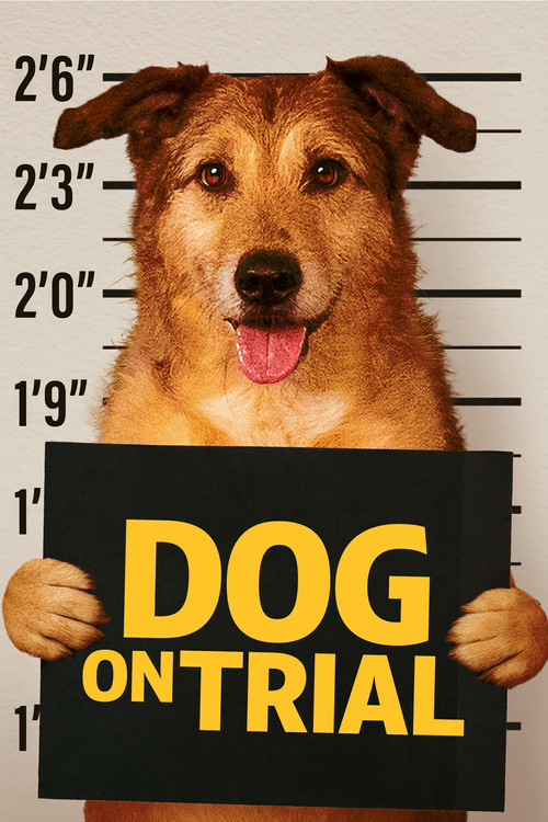 Dog on Trial постер