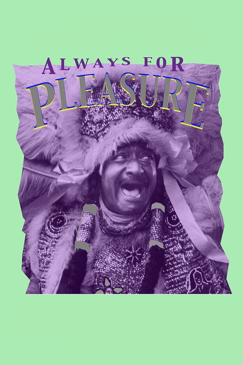 Always for Pleasure постер