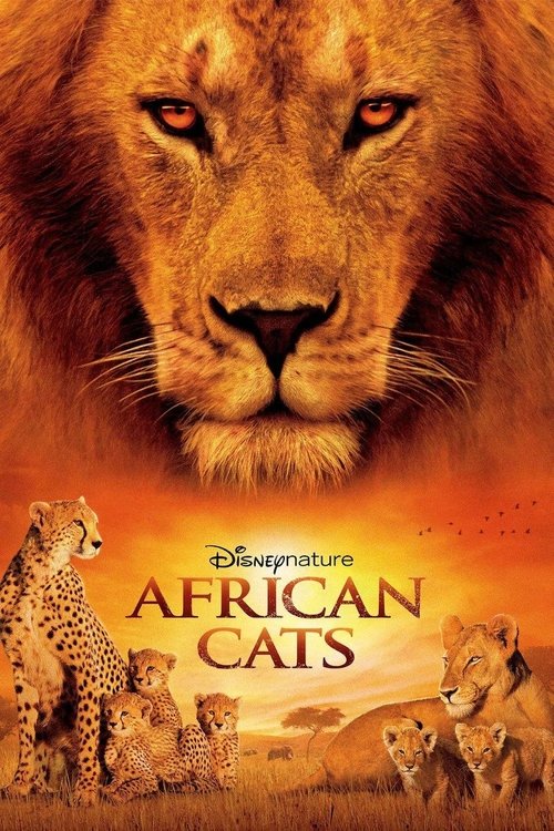 African Cats постер