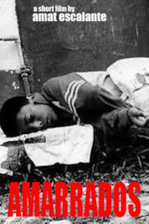 Amarrados постер
