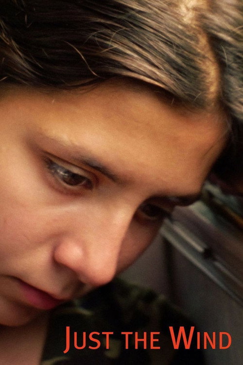 Csak a szél постер