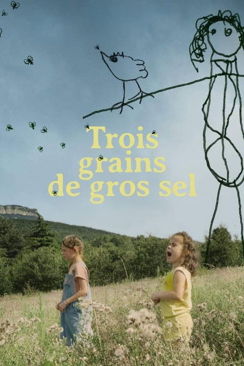 Trois grains de gros sel постер