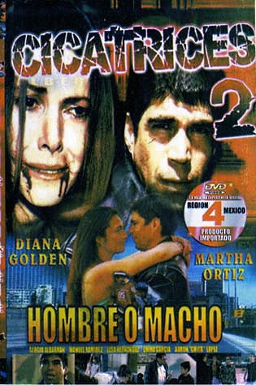 Cicatrices 2 постер