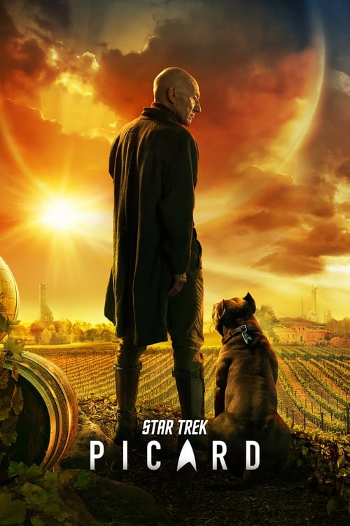 Star Trek: Picard постер