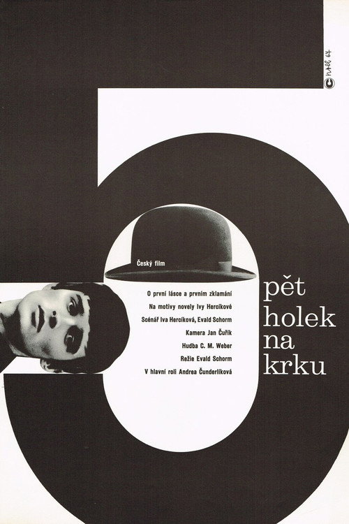 Pět holek na krku постер