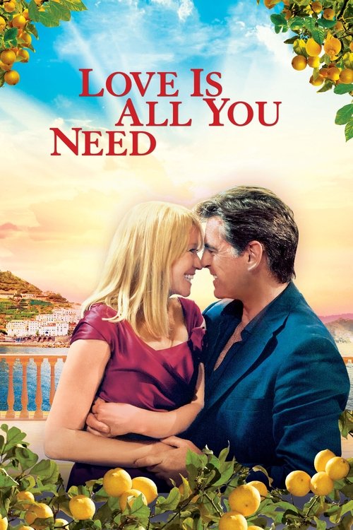 Love Is All You Need постер