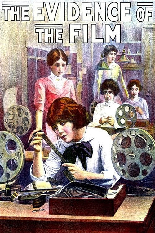The Evidence of the Film постер