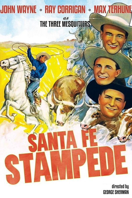 Santa Fe Stampede постер