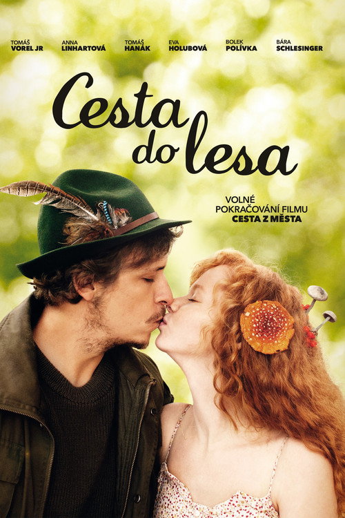 Cesta do lesa постер