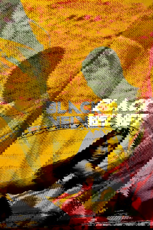 Black Velvet постер