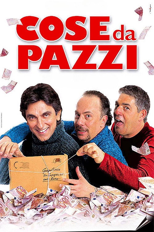 Cose da pazzi постер
