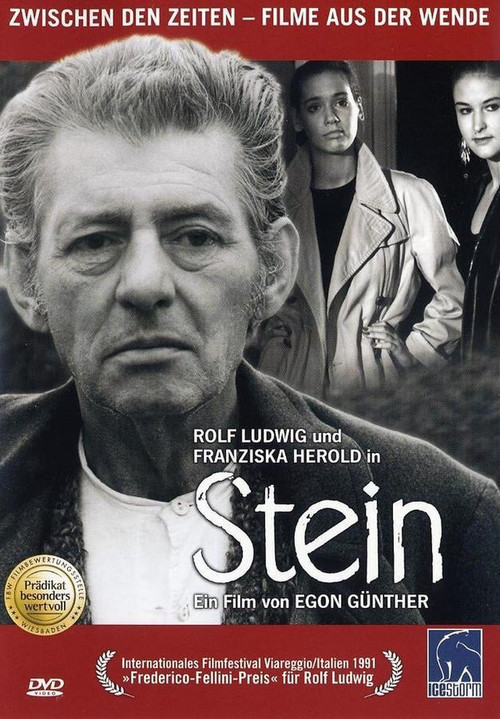 Stein постер