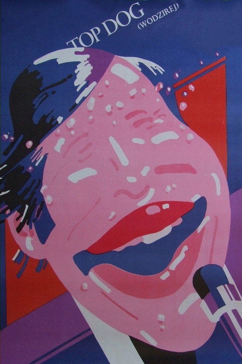 Распорядитель бала постер