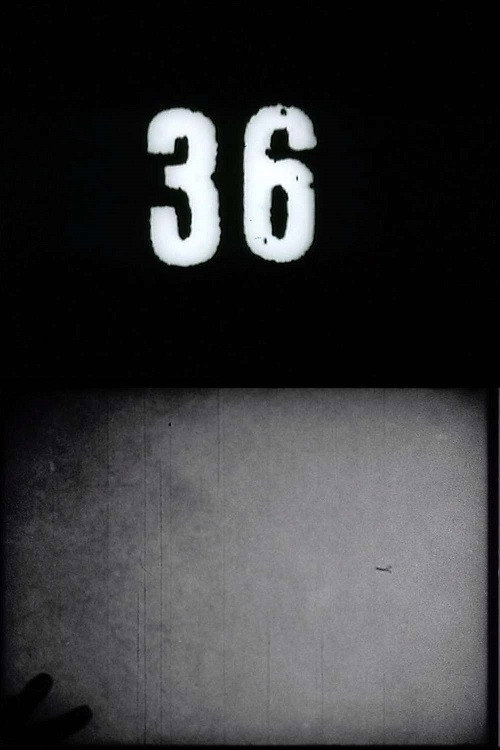 Fluxfilm No. 36 постер