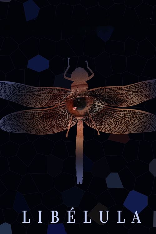 Libélula постер