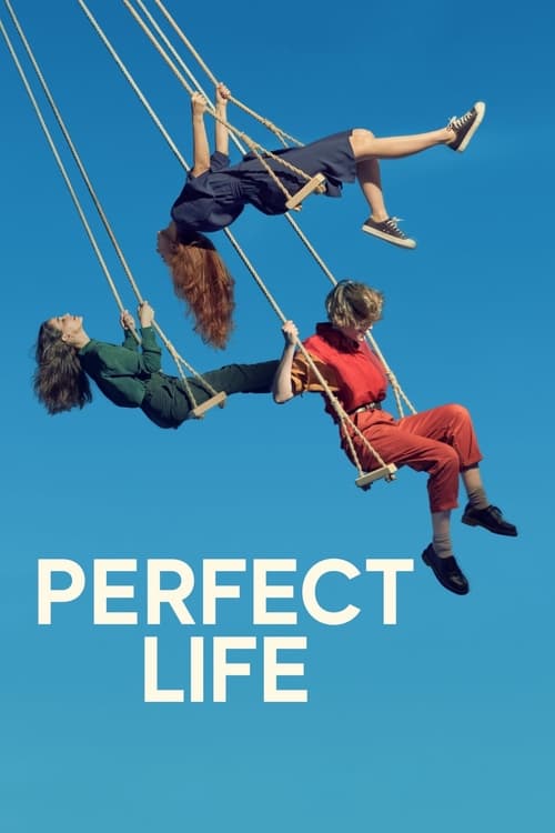 Perfect Life постер