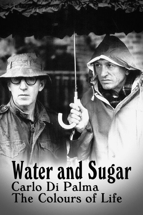 Water and Sugar – Carlo Di Palma: The Colours of Life постер