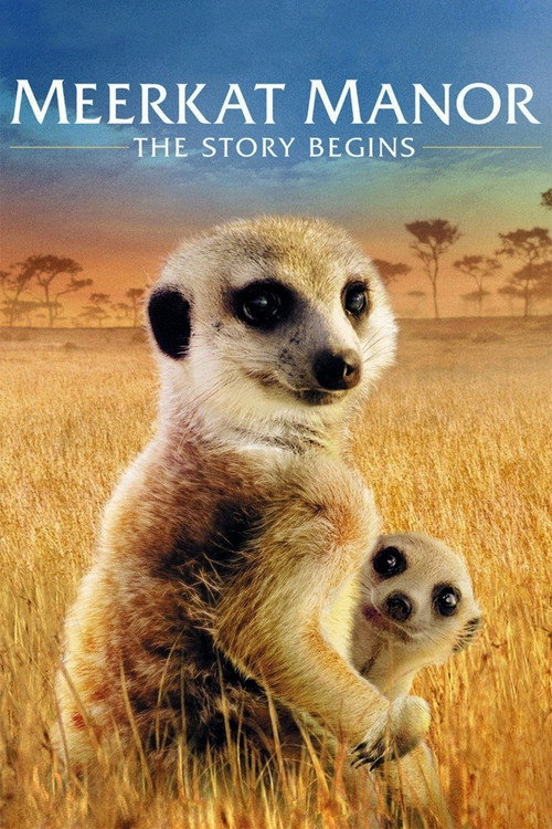 Meerkat Manor: The Story Begins постер