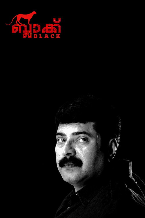 ബ്ലാക്ക് постер