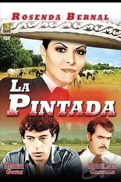 La pintada постер