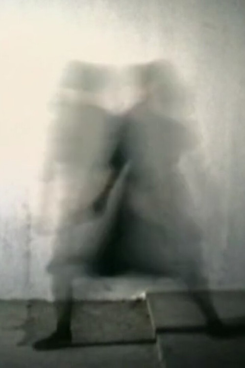 Le corps sublime постер