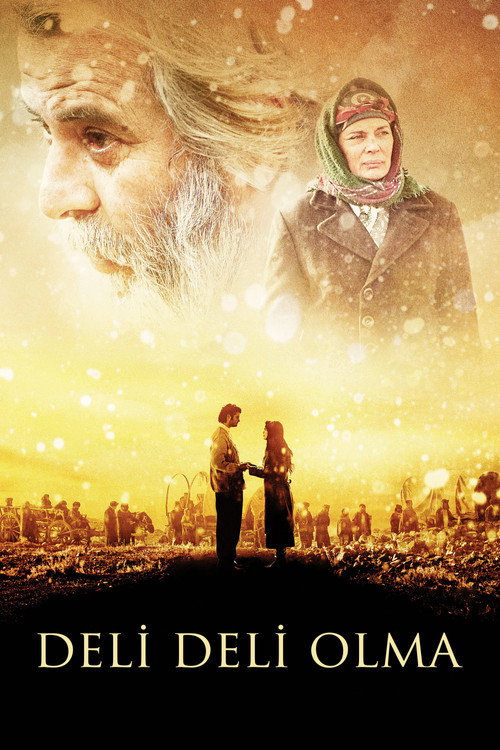 Не сходи с ума постер