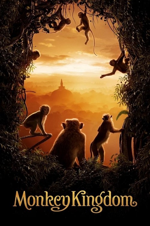 Monkey Kingdom постер