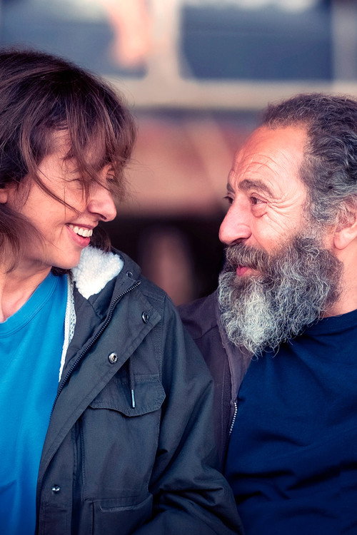 Tombés du camion постер