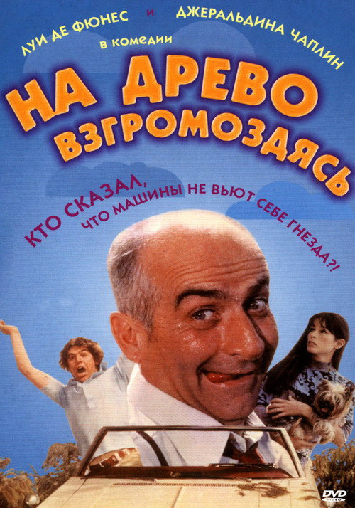 На древо взгромоздясь постер