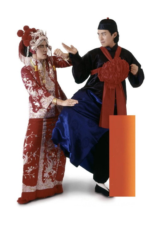 望夫成龍 постер