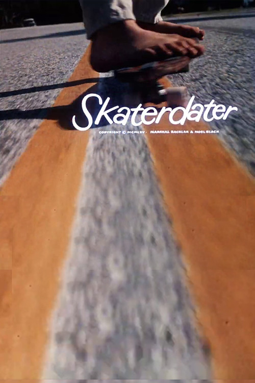 Skaterdater постер