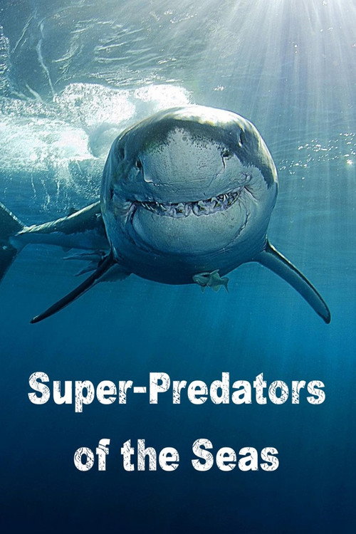 Les super-prédateurs des mers постер