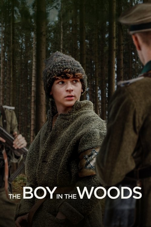 The Boy in the Woods постер