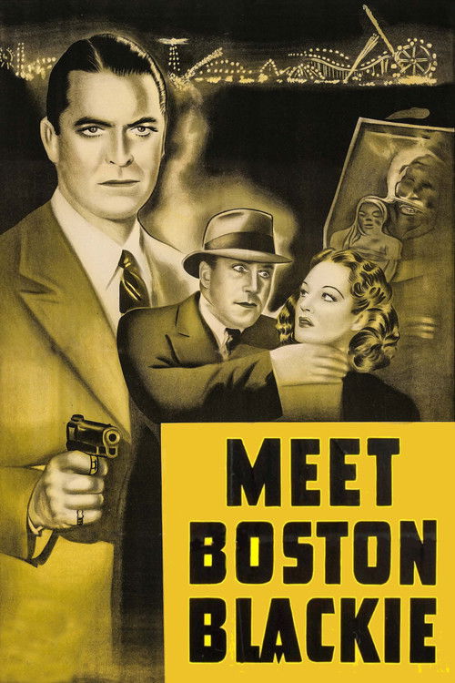 Meet Boston Blackie постер