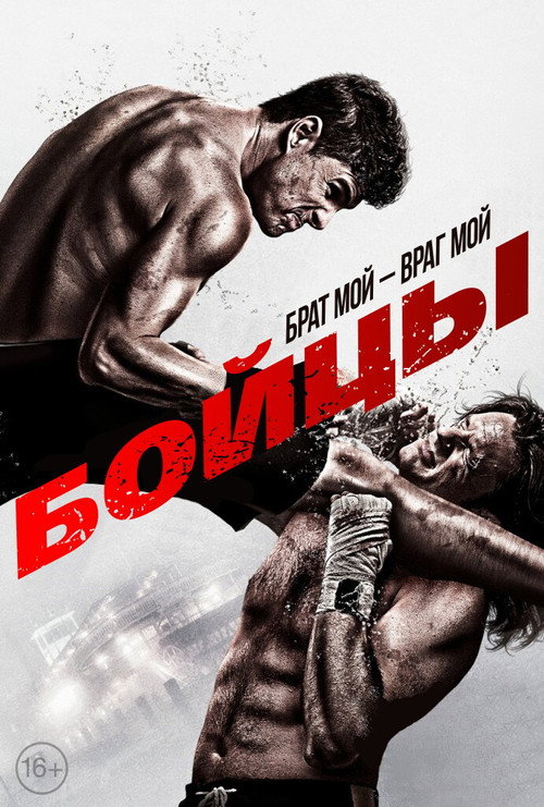 Бойцы постер