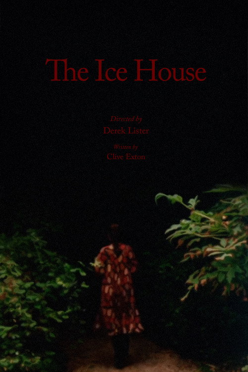 The Ice House постер