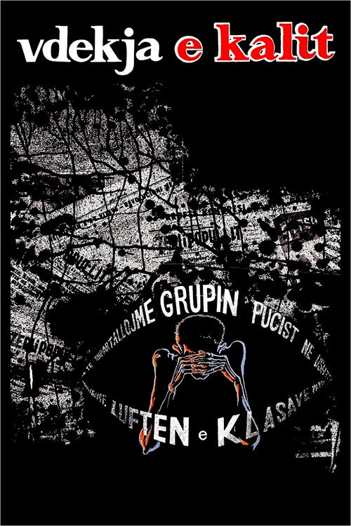 Vdekja e kalit постер