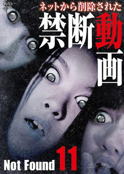 ネットから削除された禁断動画11 постер