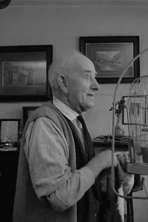 I Think They Call Him John постер