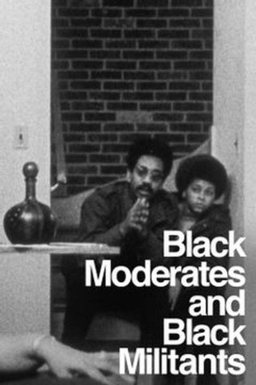 The Urban Crisis and the New Militants: Module 6 - Black Moderates and Black Militants постер