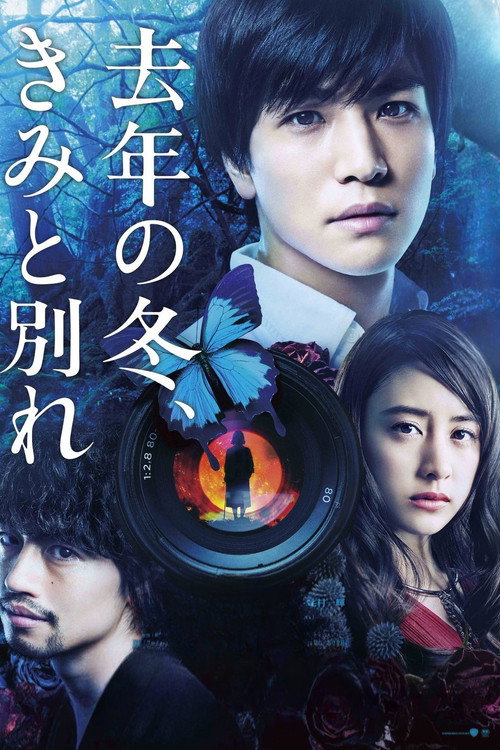 Last Winter, We Parted постер