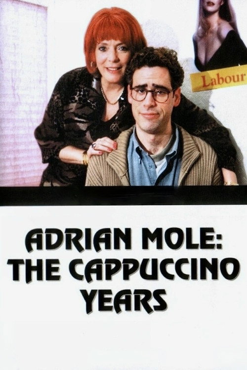 Adrian Mole: The Cappuccino Years постер