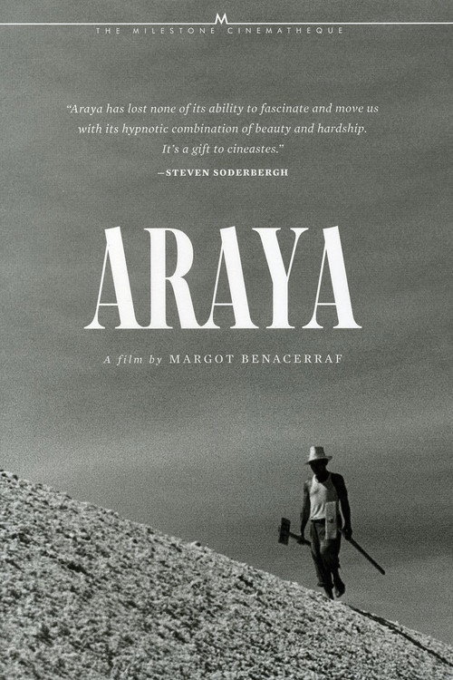 Araya постер