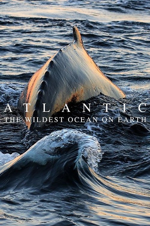 Atlantic: The Wildest Ocean on Earth постер