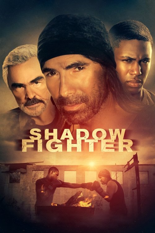 Shadow Fighter постер