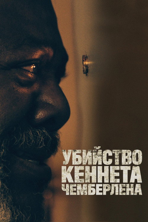 Убийство Кеннета Чемберлена постер