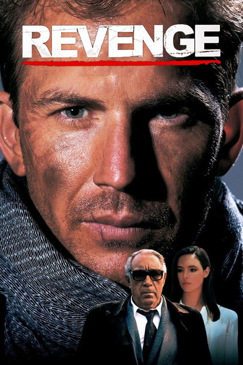 Revenge постер